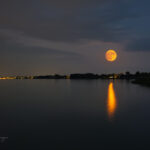 1030085-scaled.jpg